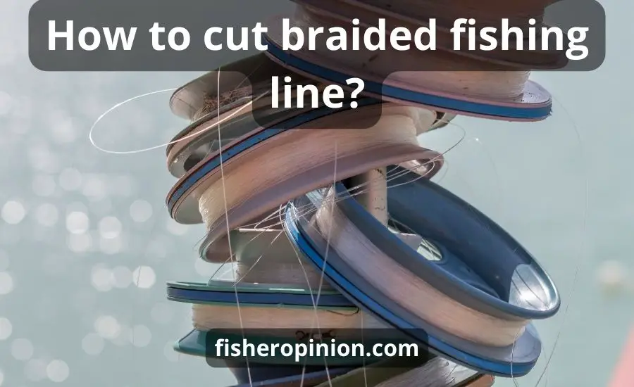How To Cut Braided Fishing Line: Top 5 Ways & Best Guide