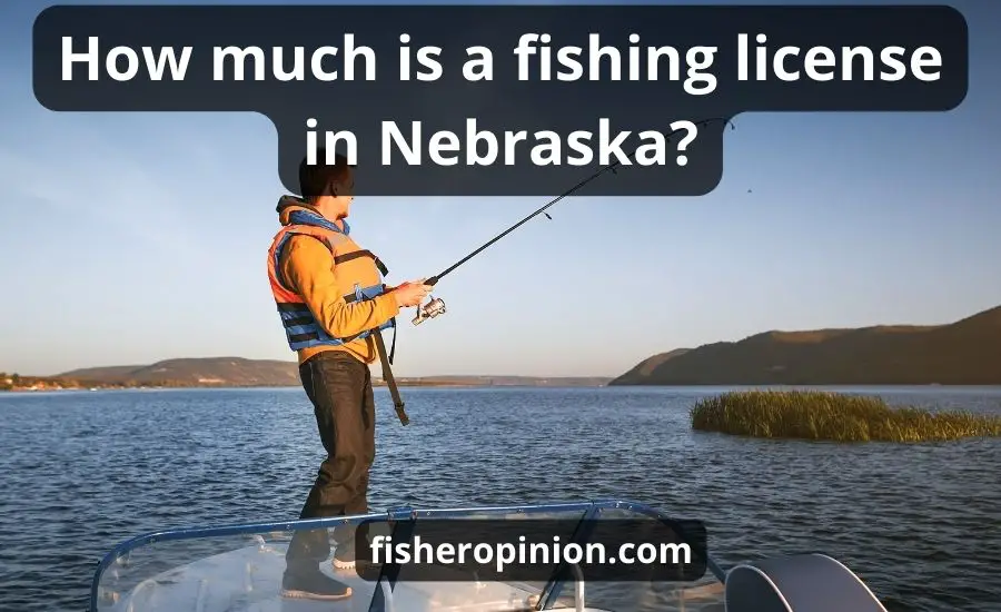 How Much Is A Fishing License In Nebraska: Top Best Guide