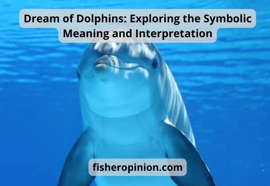 Dream of Dolphins: Exploring the Symbolic Meaning