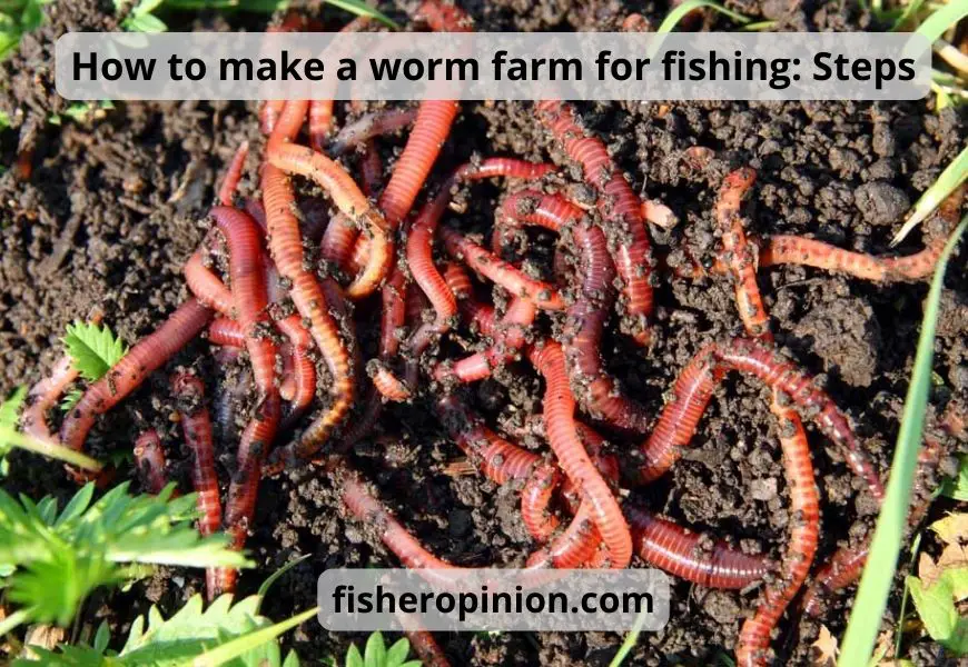 How to Make a Worm Farm for Fishing: 6 Steps